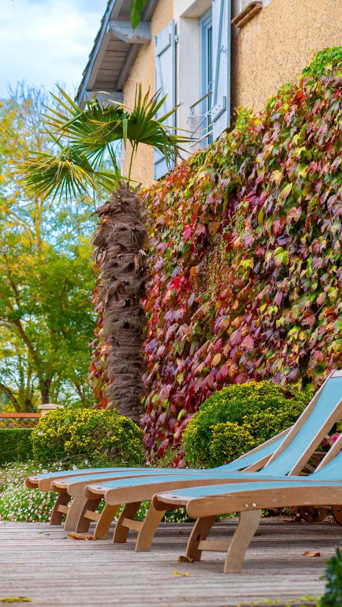 Propriete Le Monneton Bed & Breakfast Sainte-Christie Ngoại thất bức ảnh